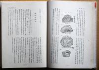 三島刷毛目