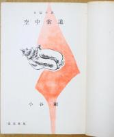 空中索道 : 長篇小説