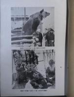 北の風土と動物