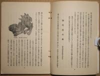 楽焼