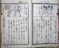 通常動物　全