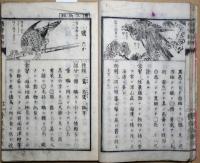 通常動物　全