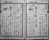 通常動物　全