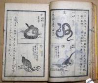 地球産物雑誌
