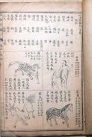山海経図説　校正本　２冊