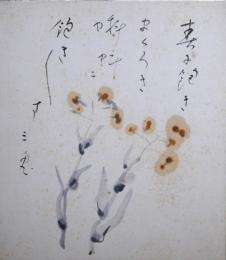 西東三鬼色紙　「春に飽きまくろき蝌蚪に飽き飽きす」