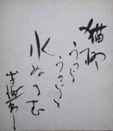 山手樹一郎色紙　「猫柳うつらうつらと水ぬるむ　山手樹一郎」