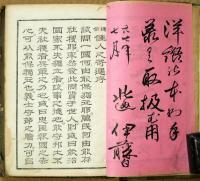 通俗佳人之奇遇　正続合本