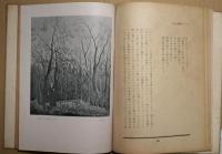 Henri Rousseau （アンリ　ルツソー　芸術と生活）