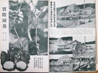 実際園芸　第22巻第1号～第3号　第5号～第6号　5冊　昭和12年1月－3月・5－6月
