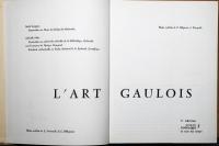 L'art gaulois (La nuit des temps 4)