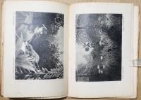 HENRI ROUSSEAU with 33 reprodauction in phototype （アンリ・ルソー）