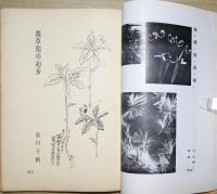 書窓　第6巻第1号　通巻31号