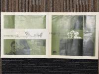 橋からの眺め　映画プレスシート