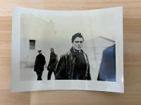 橋からの眺め　映画プレスシート