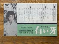 白い牙　KYOTO　STUDIO　NEWS　