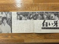 白い牙　KYOTO　STUDIO　NEWS　