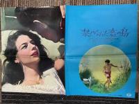 禁じられた恋の島　映画プレスシート