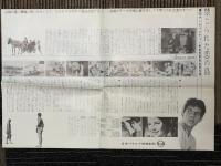 禁じられた恋の島　映画プレスシート