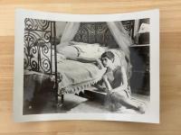 禁じられた恋の島　映画プレスシート