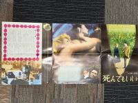 死んでもいい　映画プレスシート