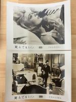 死んでもいい　映画プレスシート