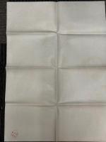 早乙女家の娘たち　映画ポスター