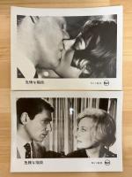 危険な階段　映画プレスシート