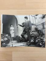 香港の白い薔薇　東宝スタジオ・メール　№844