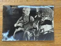 子鹿物語　映画プレスシート