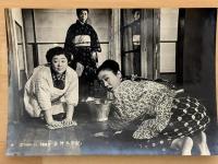 台所太平記　東京映画スタジオ・メール　№213