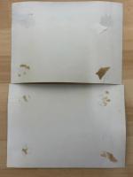 アワモリ君西へ行く　宝塚スタジオ・メール　№133