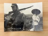 のら犬作戦　東宝スタジオ・メール　№792