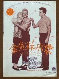 金魚鉢の中の恋　映画パンフレット