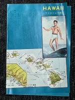 BLUE　HAWAII　映画パンフレット