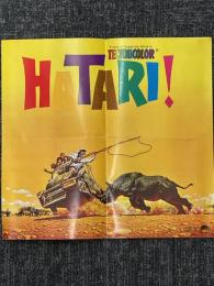 HATARI！　映画パンフレット