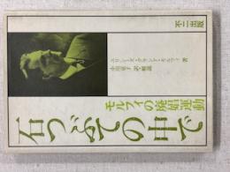 石つぶての中で : モルフィの廃娼運動