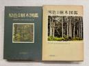 原色日本樹木図鑑