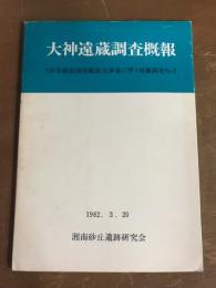 大神遠蔵調査既報