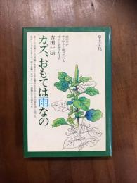 カズ、おもては雨なの
