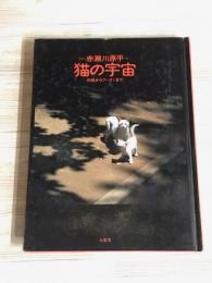 猫の宇宙　向島からブータンまで