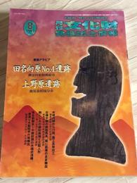 月刊文化財発掘出土情報　1997　8　巻頭グラビア　田名向原No.4遺跡