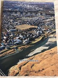 日野市栄町遺跡　発掘調査終了略報