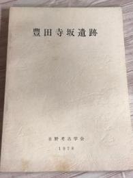 豊田寺坂遺跡