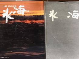 氷海
