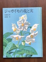ジャガイモの花と実