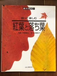 森の休日1　拾って楽しむ　紅葉と落ち葉