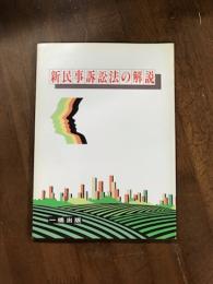 新民事訴訟法の解説