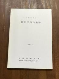 千葉県市原市　潤井戸西山遺跡