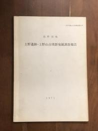 高野団地　上野遺跡・上野山古墳群発掘調査報告　1971